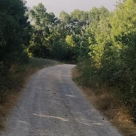 Casa "El Villar" Matabuena Dış mekan fotoğraf